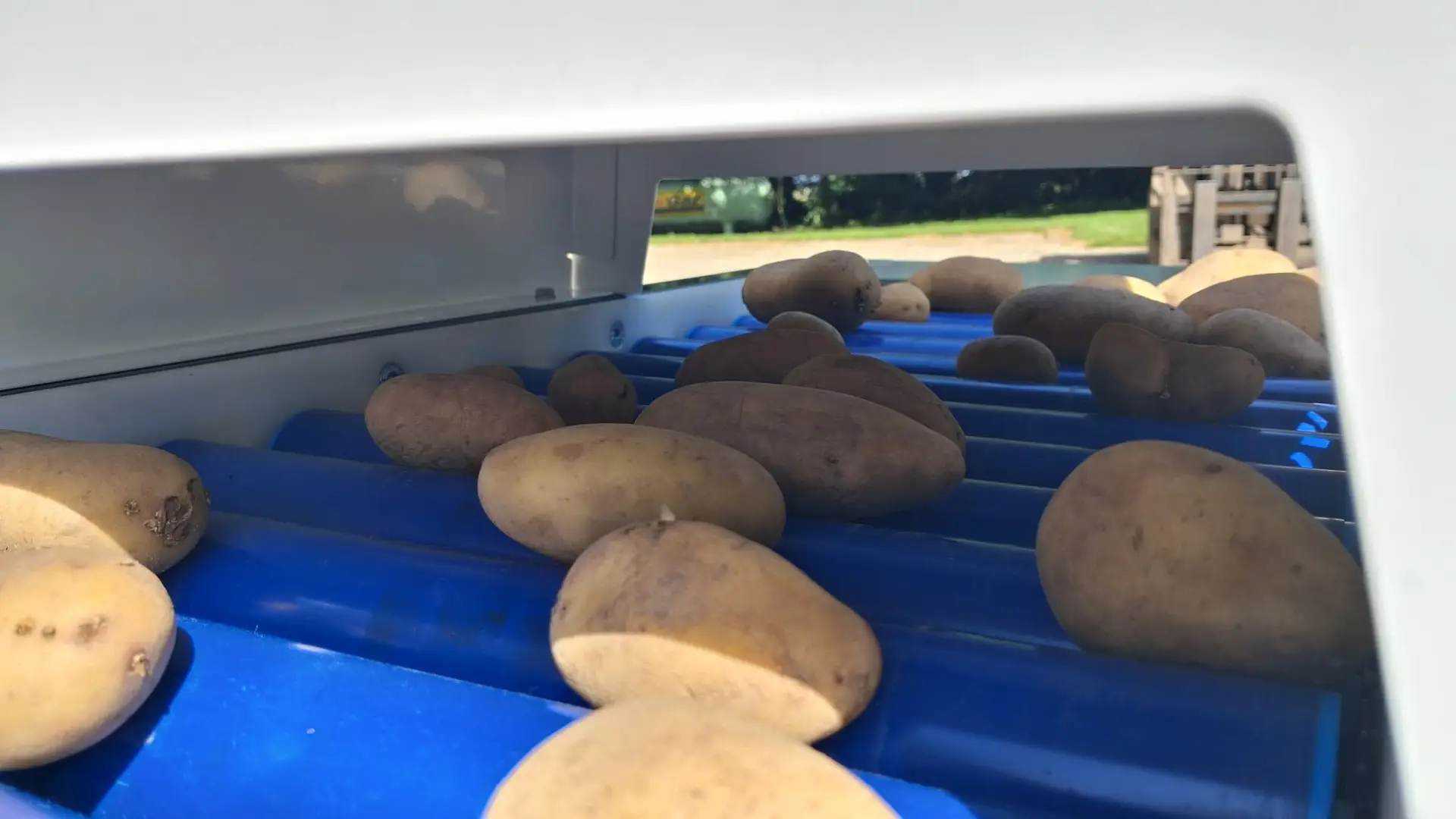 Aardappelen in de Scanner van Bonnema AgroTech